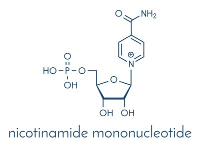 Nad++ Precursor Nicotinamide Mononucleotide (NMN) Powder CAS 1094-61-7 suppliers & manufacturers in China