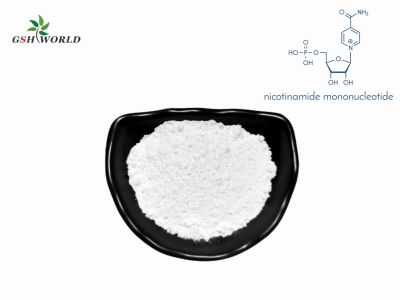 Nad++ Precursor Nicotinamide Mononucleotide (NMN) Powder CAS 1094-61-7 suppliers & manufacturers in China