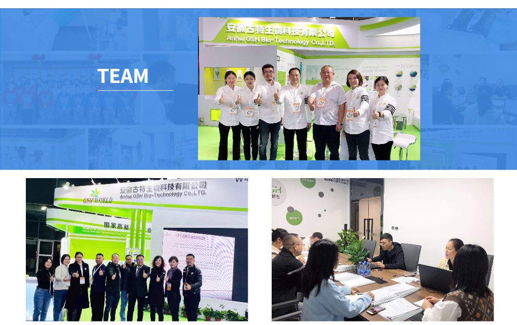 Support Customized Service ATP Powder From Factory 987-65-5