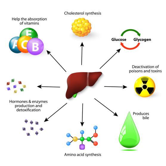 Best Price Supply CAS: 97540-22-2 S-Adenosyl-L-Methionine Disulfate Tosylate