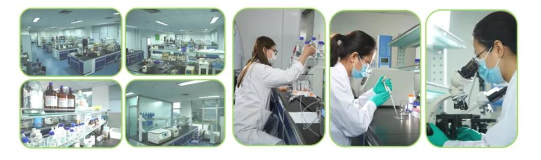 Pharmaceutical Ingredients Alpha Lipoic Acid Powder 1077-28-7