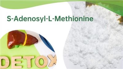 S-Adenosyl-L-Methionine Disulfate Tosylate Same Ademetionine Disulfate Tosylate Same suppliers & manufacturers in China