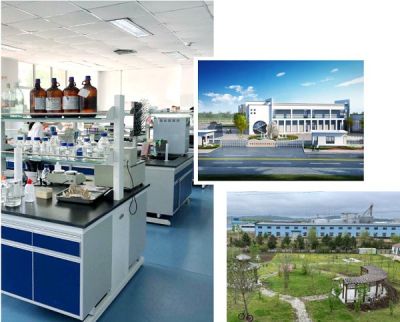 Food Additive Raw Material L-Glutathione Reduced Powder in Bulk suppliers & manufacturers in China