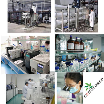 High Quality L-Carnosine, Factory Price, 98% Purity, Food Grade Material CAS 305-84-0 suppliers & manufacturers in China