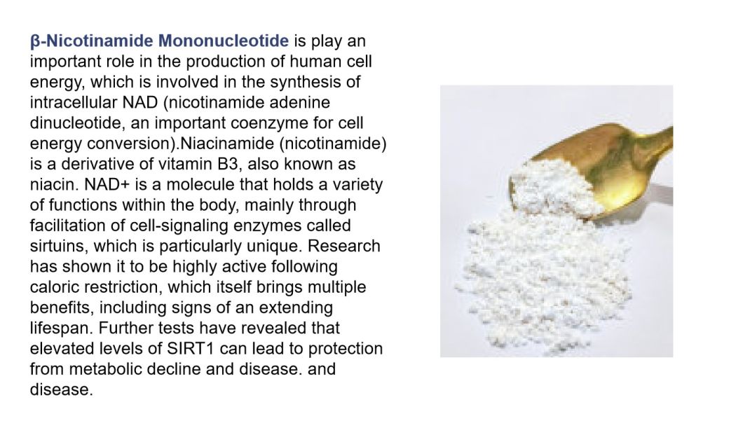What is β-Nicotinamide Mononucleotide NMN?