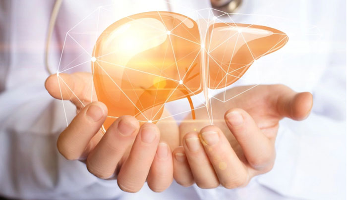 Silver Quantum Dots Enhance Liver Absorption and Therapeutic Effectiveness of NMN and Metformin