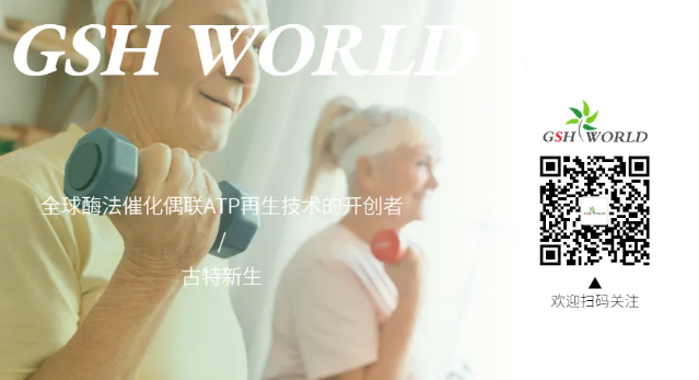 Welcome to pay attention to our WeChat public account