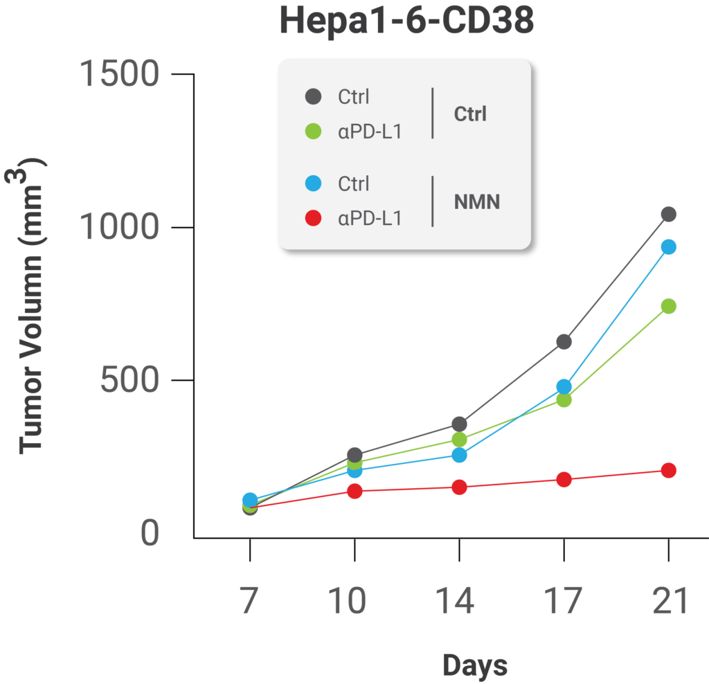 NMN treatment enhances the effect of immunotherapy against cancer NMN treatment enhances the effect of immunotherapy against cancer