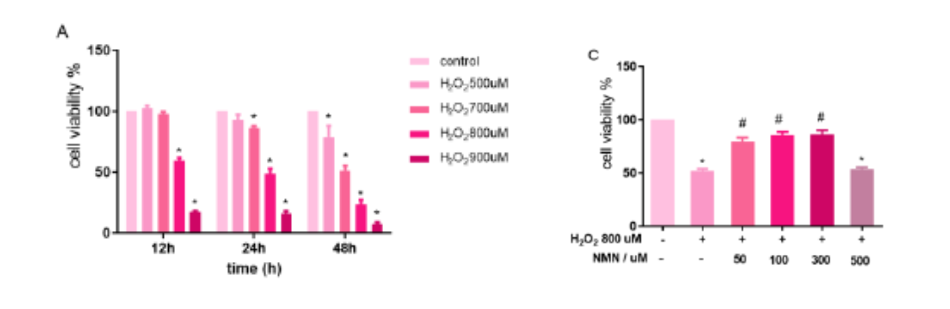 NMN treatment protects brain endothelial cells from harmful oxidative stress NMN treatment protects brain endothelial cells from harmful oxidative stress