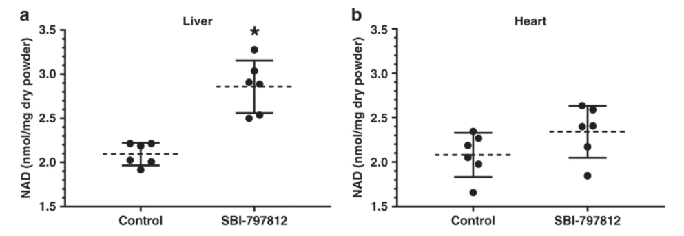 SBI-797812 increased NMN and NAD+ in human primary myotubes. SBI-797812 increased NMN and NAD+ in human primary myotubes.