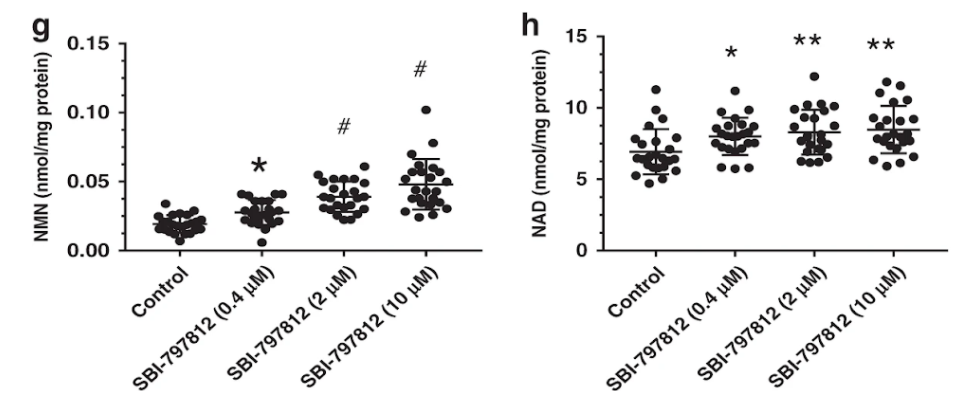 Effects of SBI-797812 on tissue NAD+ in mice. Effects of SBI-797812 on tissue NAD+ in mice.