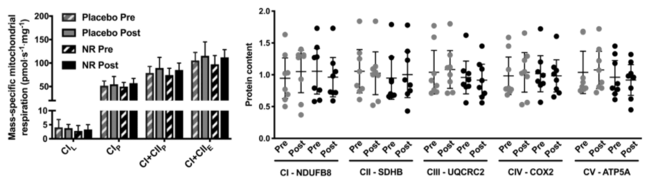 Seven days of NR supplementation does not improve mitochondrial function or induce mitochondrial biogenesis in human skeletal muscle. Seven days of NR supplementation does not improve mitochondrial function or induce mitochondrial biogenesis in human skeletal muscle.