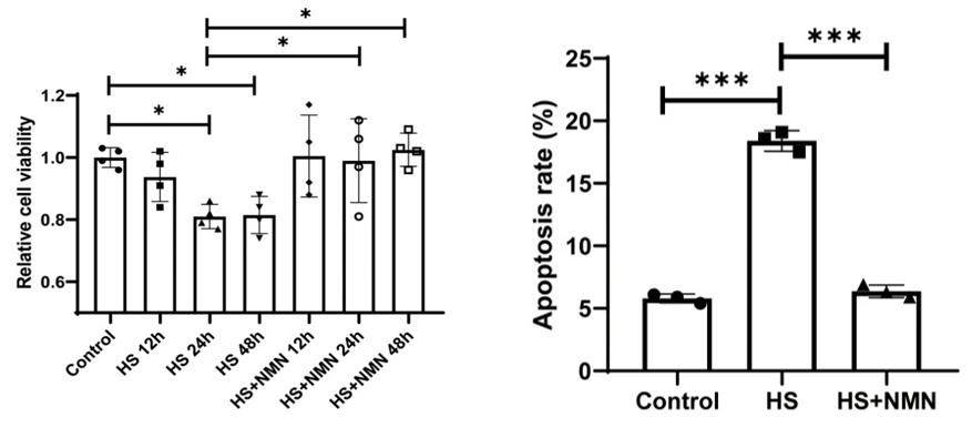 NMN treatment protects mouse eye cells from hyperosmolarity-induced cell death NMN treatment protects mouse eye cells from hyperosmolarity-induced cell death