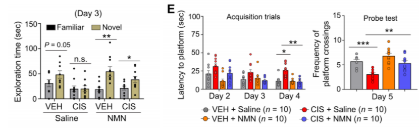NMN prevents cisplatin-induced impairments in cognitive function. NMN prevents cisplatin-induced impairments in cognitive function.
