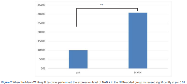 NMN triples intracellular NAD+ levels in human MCF-7 breast cancer cells