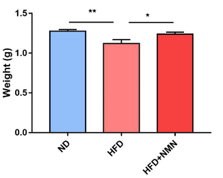 NMN restores the body weight of offspring from obese mothers NMN restores the body weight of offspring from obese mothers