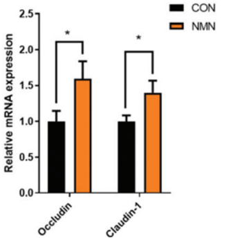 NMN Elevates Gut Barrier Genes in Old Mice. NMN Elevates Gut Barrier Genes in Old Mice.