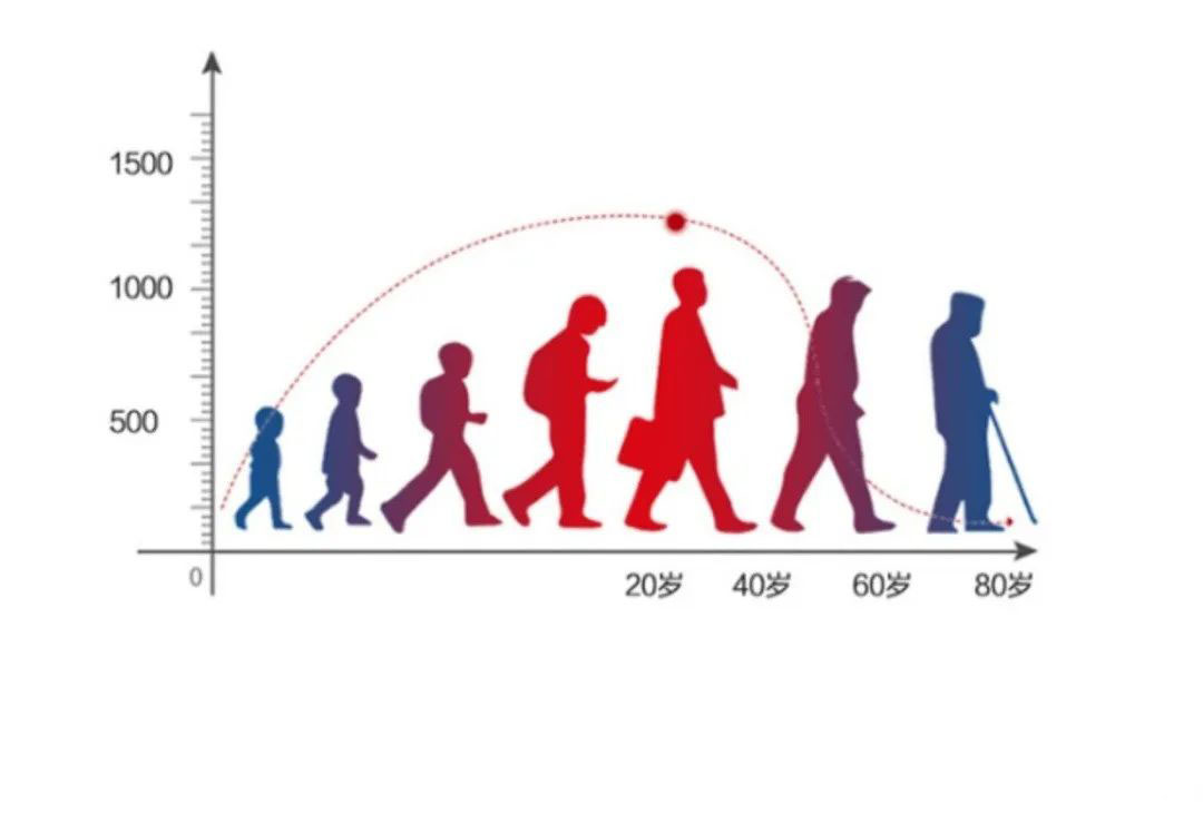 The loss of coenzyme Q10 in the human body