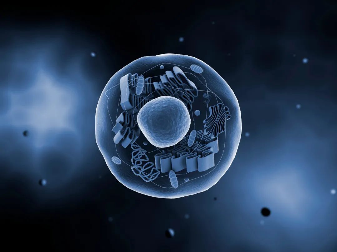 1686706415710998.jpg 640 (3).jpg