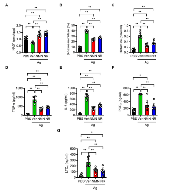 NAD+ and inflammatory mediator levels of mast cells in each group after stimulation NAD+ and inflammatory mediator levels of mast cells in each group after stimulation