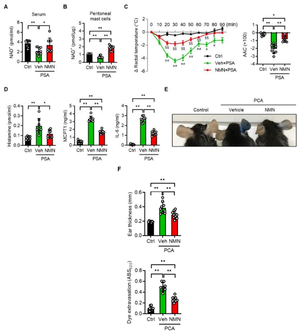 NAD+ and inflammation levels and related indicators of allergic symptoms in mice after NMN treatment NAD+ and inflammation levels and related indicators of allergic symptoms in mice after NMN treatment