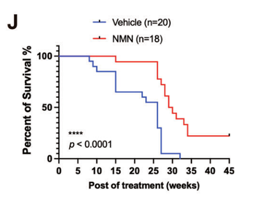 Survival rate of mice in NMN group and control group Survival rate of mice in NMN group and control group