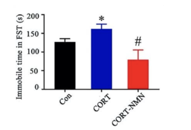 Immobile time in FST Immobile time in FST