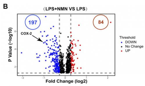 NMN restores the level of inflammation-related proteins NMN restores the level of inflammation-related proteins