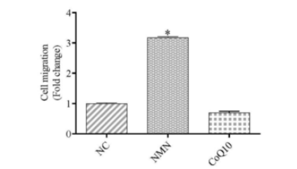 NMN enhances stem cell migration NMN enhances stem cell migration