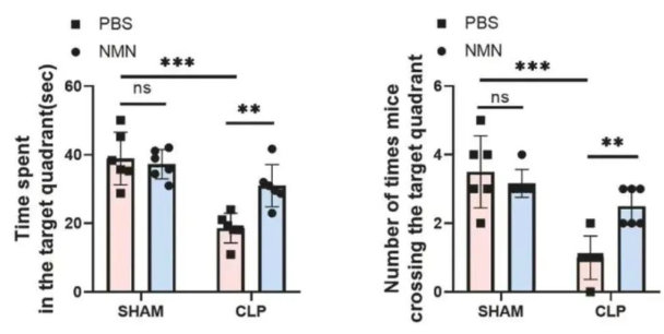 NMN enhances learning and memory NMN enhances learning and memory