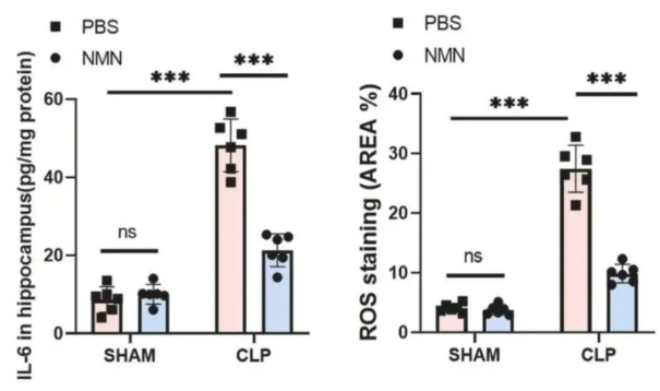 NMN reduces inflammation and oxidative stress NMN reduces inflammation and oxidative stress