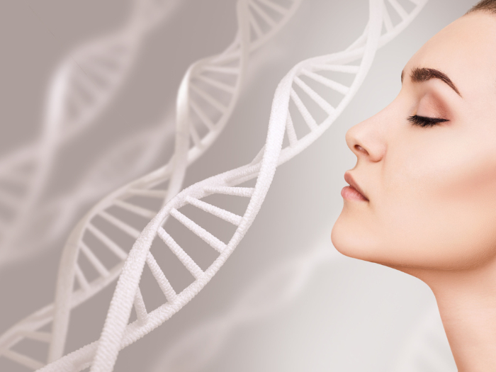 Anti-oxidation and anti-aging Anti-oxidation and anti-aging