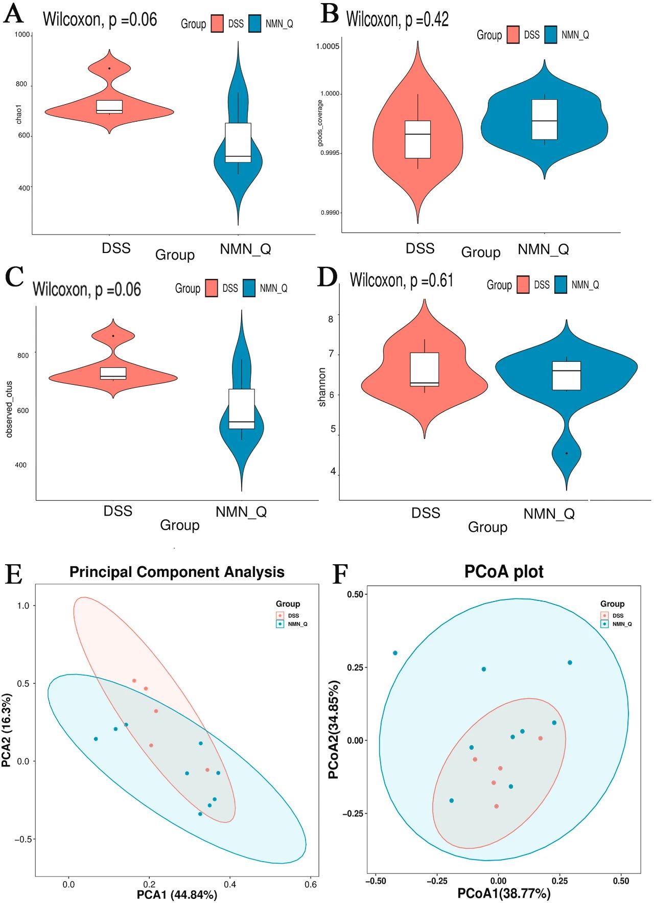 NMN maintains gut health NMN maintains gut health
