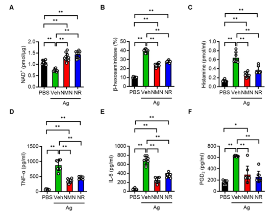 NAD+ and inflammatory mediator levels of mast cells in each group after stimulation NAD+ and inflammatory mediator levels of mast cells in each group after stimulation