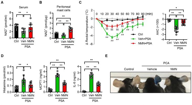 NAD+ and inflammation levels and related indicators of allergic symptoms in mice after NMN treatment NAD+ and inflammation levels and related indicators of allergic symptoms in mice after NMN treatment