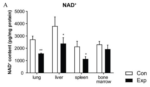 16 weeks of PM exposure significantly reduced NAD+ levels in different tissues of mice. 16 weeks of PM exposure significantly reduced NAD+ levels in different tissues of mice.