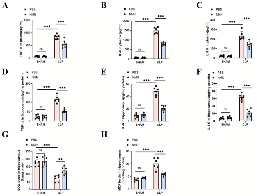 Figure: NMN reduces levels of inflammatory factors in plasma and hippocampus and oxidative stress in hippocampus Figure: NMN reduces levels of inflammatory factors in plasma and hippocampus and oxidative stress in hippocampus