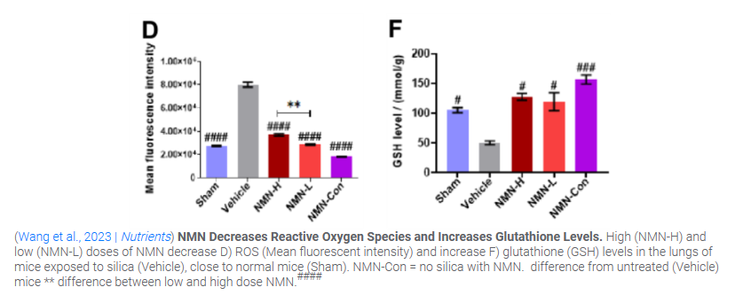 NMN Decreases Reactive Oxygen Species and Increases Glutathione Levels. NMN Decreases Reactive Oxygen Species and Increases Glutathione Levels.