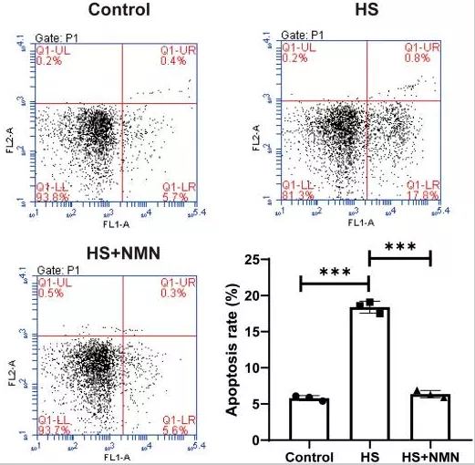 NMN improves cell viability and apoptotic status of HS-treated CEC, control chart