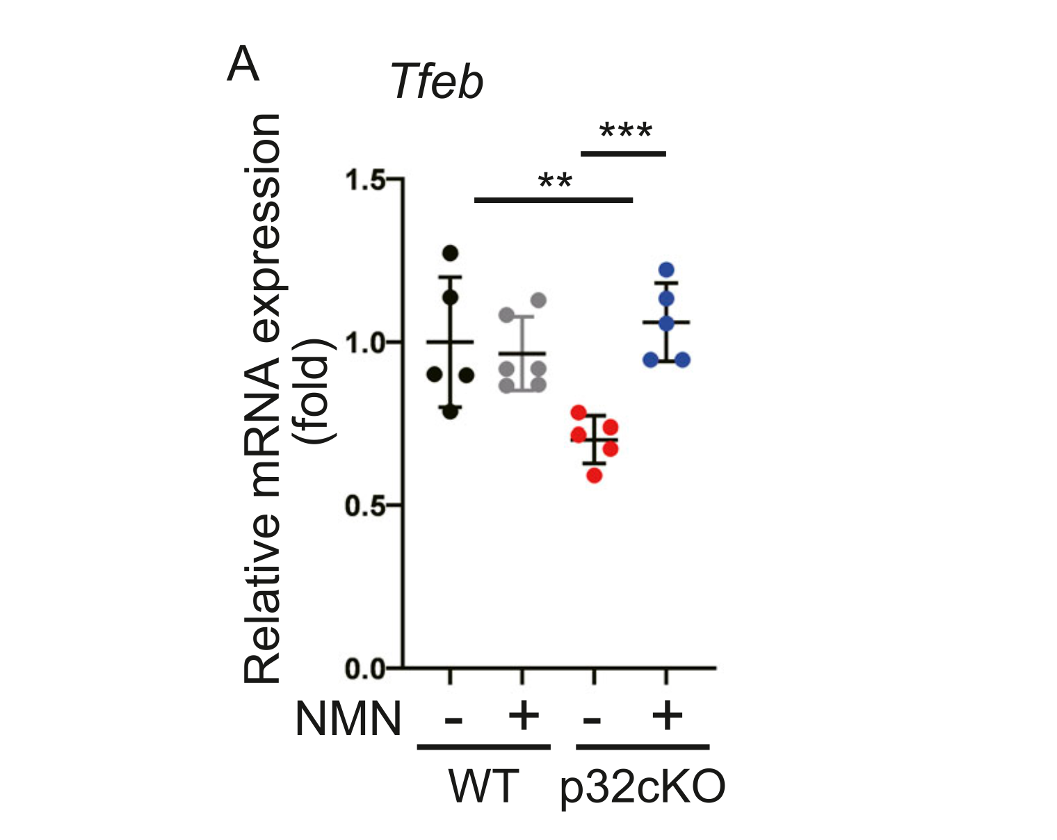 NMN may prevent heart failure NMN may prevent heart failure