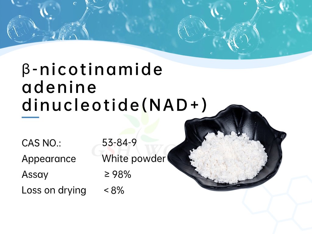 β-nicotinamide adenine dinucleotide NAD+ β-nicotinamide adenine dinucleotide NAD+