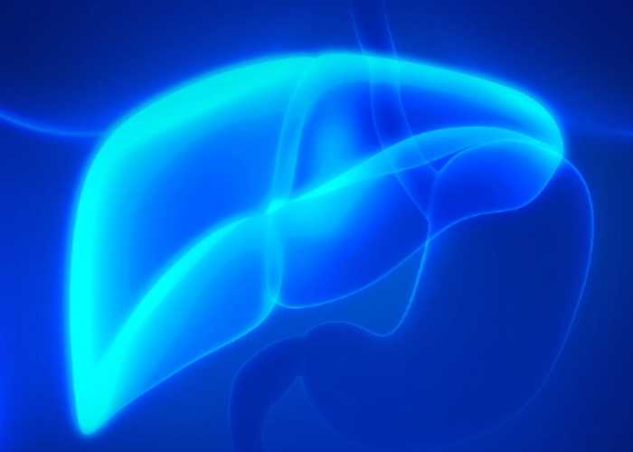 The Importance of Glutathione