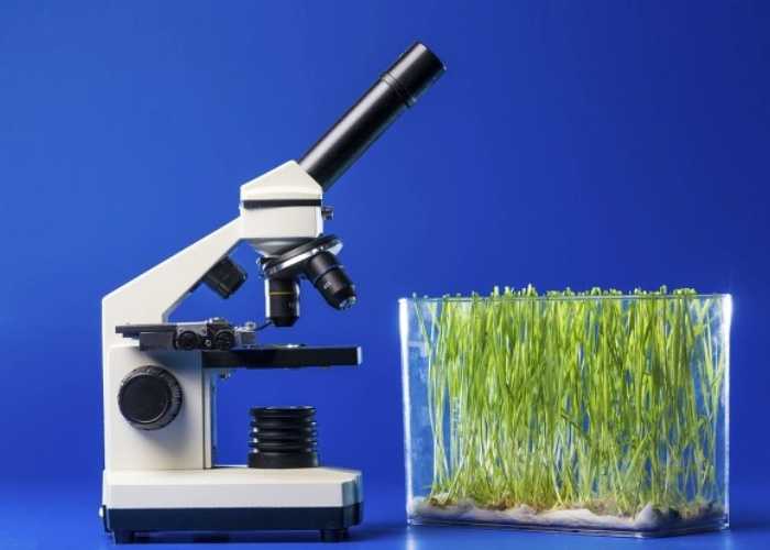 Agricultural applications