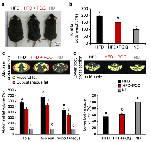 Research experiment Research experiment