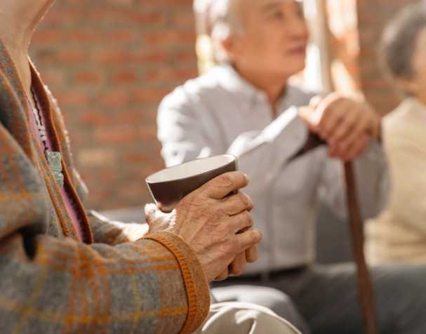 Citicoline: A Supporter of Cognitive Function Citicoline: A Supporter of Cognitive Function