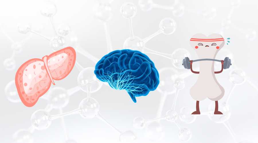 Potential benefits of SAMe for liver health Potential benefits of SAMe for liver health