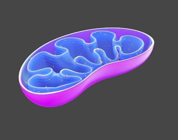 Relieve symptoms of specific diseases