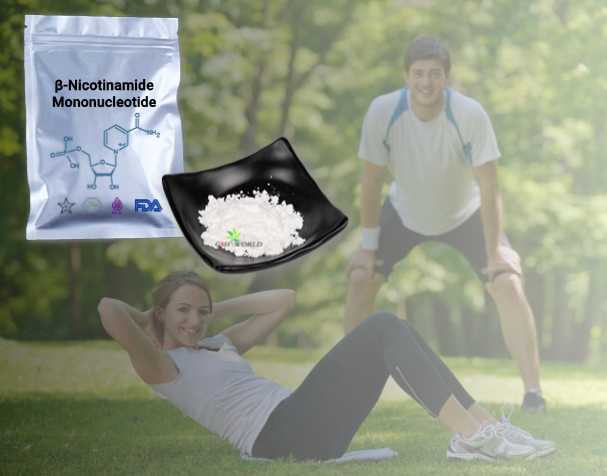nicotinamide mononucleotide (NMN powder)