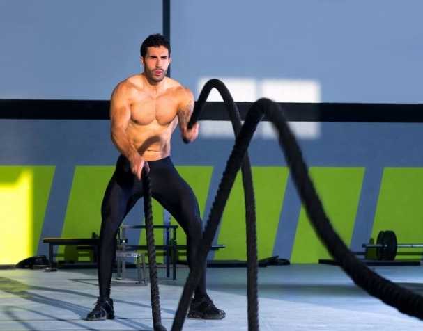 Pyrroloquinoline Quinone Disodium Salt (PQQ Disodium Salt): A Novel Nutrient for Improving Muscle Strength